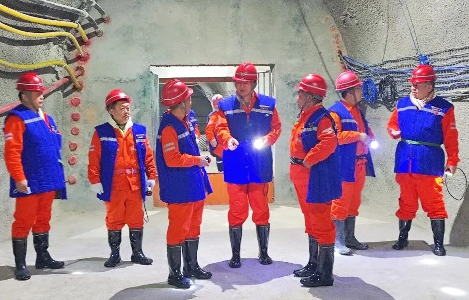 1764557114500717.jpg 1764557114500717.jpg